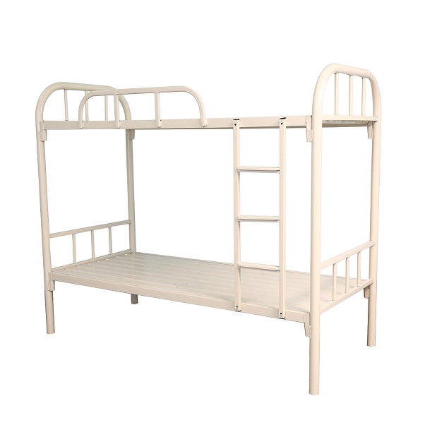 1699066296246243.png ED9A8140.png